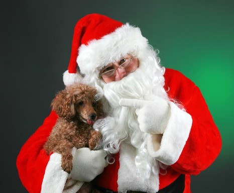 Santa and Poodle 2.jpg