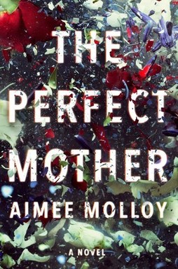 The Perfect Mother by Aimee Molloy